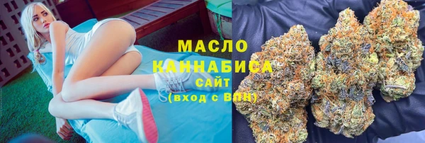 хмурый Бородино