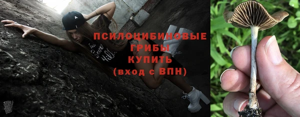 прущая мука Бронницы