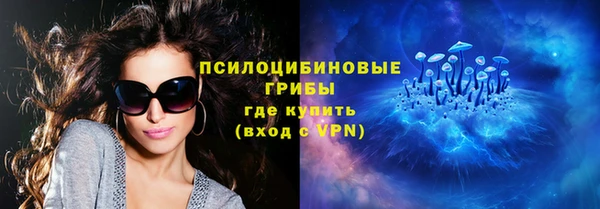 хмурый Бородино